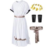 Missanabie Men's Toga Costume Greek God Costume Roman Costume Cosplay Outfit Halloween Robe Accessories Set(WT L)