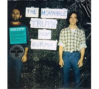 Mission Of Burma - The Horrible Truth About Burma [Vinyl LP]