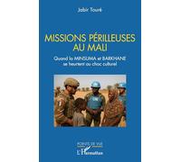 Missions périlleuses au Mali: Quand la MINSUMA et BARKHANE se heurtent au choc culturel (Points de Vue)