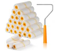Mister Rui 24 Pieces 4-Inch Paint Roller Covers - 9mm Nap Microfiber Rollers for Walls, Cabinets, Trim, Compatible with All Paints and Stains, Reusable and Easy to Clean