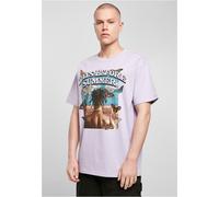 Mister Tee Days Before Summer Oversize Tee T-Shirt Top Shirt Music Rap USA