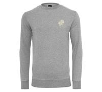 Mister Tee Men's Wasted Youth Crewneck Sweatshirt, Grey, XL