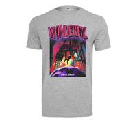 Mister Tee Wonderful Tee T-Shirt Top Shirt Front Print Colorful Music Rap Men