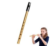Mistillion D Key Tin Whistle, 6-Hole Penny Whistle, Gold Aluminium Alloy Traditional Celtic Wind Instrument for Beginners Adults Folk Music
