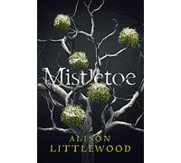 Mistletoe: 'The perfect read for frosty nights' HEAT