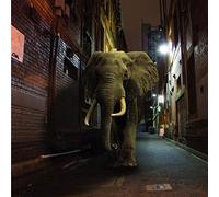 Misty Conditions - D'zzzz [VINYL]