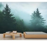 Misty Forest Wall Murals, Pine and Cypress Forest Mural, Natural Scenery Wallpaper for Renters Living Room Bedroom Corridor TV Background Decor - 366x254cm