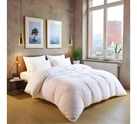 MistyMorning Plain Duvet Cover sets, Soft & Premium quality Bedding & Linen, Egyptian Cotton with 200 Thread Count. (White, Double)