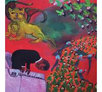 MITCH DAVIS - THE HAUNT [VINYL]