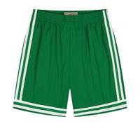 Mitchell And Ness Nba Boston Celtics Nba Boston Celtics Short Green