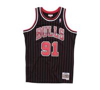 Mitchell And Ness Nba Chicago Bulls 1995-1996 Dennis Rodman Swingman Jersey Black