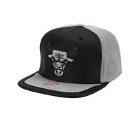 Mitchell & Ness NBA Chicago Bulls NBA Day One Snapback Bulls cap 6HSSMM19224-CBUBKGY
