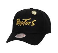 Mitchell & Ness Snapback PRO Cap - PINNED Toronto Raptors - One Size
