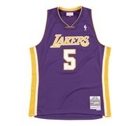 Mitchell & Ness x NBA Los Angeles Lakers 1999-00 Swingman Jersey 'Robert Horry 5' SMJYGS18448-LALPURP99RHO S