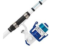 Mitchell Neuron Surf Fishing Combo