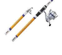 Mitchell Neuron Surfcasting Combo