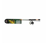 Mitchell Target Ii Perch Spinning Combo