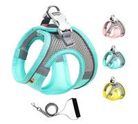 Mitili Step-in Air Adjustable Breathable Mesh Dog Harness and 5 ft Leash Set,No Choke Lightweight Reflective Pet Vest Harnesses with Soft Handle for Small Dogs (S(Chest:11-13"-Fit Cats), Mint Green)