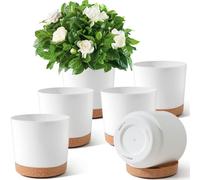 MITINGKA Plant Pots Indoor, 6Pcs 16.5cm Plastic Plant Pot with Drainage Holes & Saucers, White House Flower Pots for Indoor Plant, Small Self-Watering Planters, Outdoor Planter for Garden Windowsill