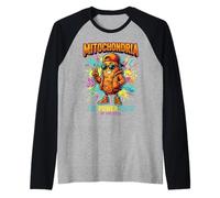 Mitochondria Powerhouse of The Cell Science Raglan Baseball Tee