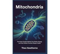 Mitochondria: The Power System Behind Your Body’s Energy and How Cellular Function Shapes Health