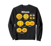 Mitosis Stages Cell Division Biology Science Education Gifts Sweatshirt