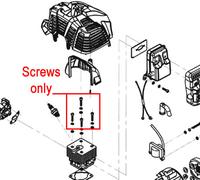 Mitox Cylinder Screws (Pack of 4) MIGB/T2671.2 M5X20