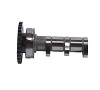 Mitran Mitran Music - Zoo Zoo Zoom