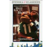 Mitt Liv Som Hund -My Life as a Dog - DVD