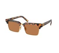 Miu Miu MU 10ZS 19P2Z1 Woman Sunglasses Acetate Turtle Brown Squared Normal