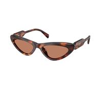 Miu Miu MU B11SU 27L90Q Woman Sunglasses Acetate Turtle Brown Cat Eye Normal