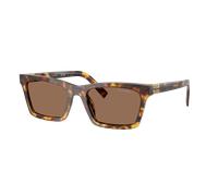 Miu Miu Woman Sunglass MU A05S - Frame color: Honey Havana, Lens color: Dark Brown