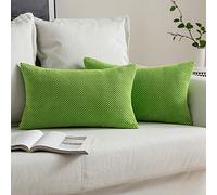 MIULEE Corduroy Cushion Cover Fabric Granule Throw Pillow Case Square Solid Home for Sofa Chair Couch Bedroom Decorative Pillowcases with Invisible Zipper 2 Pieces Apple Green 30x50cm 12x20 Inch