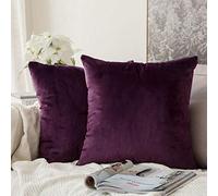 MIULEE Decorative Velvet Cushion Covers 45cm x 45cm/Square Throw Pillowces for Sofa Bedroom with Invisible Zipper 18x18 Inch Aubergine Purple Sets of 2