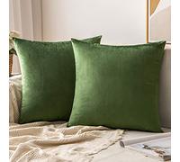 MIULEE Velvet Cushion Covers Soft Decorative Square Throw Pillow Case Pillowcases for Livingroom Sofa Bedroom with Invisible Zipper 20"x20" 50cm x 50cm 2 Pieces Matcha Green