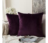 MIULEE Velvet Soft Decorative Square Throw Pillow Case Cushion Covers Pillowcases for Livingroom Sofa Bedroom with Invisible Zipper 60cm x 60cm 24x24 Inch 2 Pieces Aubergine