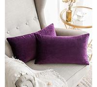 MIULEE Velvet Soft Soild Microfiber Decorative Square Pillow Case Throw Cushion Cover for Sofa Bedroom with Invisible Zipper Aubergine 12"x20",2 Pieces