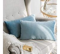 MIULEE Velvet Soft Soild Microfiber Decorative Square Pillow Case Throw Cushion Cover for Sofa Bedroom with Invisible Zipper Light Blue 12"x20",2 Pieces