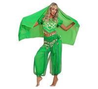 Miutii Women's 4Pcs Belly Dance Costume India Arabian Princess Outfits Halloween Carnival Fancy Dress Up Green One Size