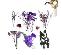 mivceklw Dried Flowers with Stems,Natural Dried Flower Arrangements | Seasonal Decor for Shower Garden Wedding Jewelry Making Dinner Market Christmas