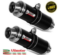 MIVV Exhaust Kawasaki Z1000 2007 – 2 Slip-On GP Carbon – Approved