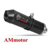 Mivv Suzuki Gsf 650 Bandit 2006 06 Exhaust Oval Carbon Cap Motorcycle