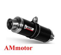 S.015.L2S - Exhaust Muffler Completa Mivv GP Carbon Suzuki SV 650 SV650 2004>