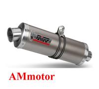 MIVV Oval Exhaust Silencer – Yamaha YZF 600 Thundercat 1996-2001 – Stainless/Black/Carbon/Titanium