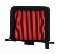 Miw F265231 Air Filter