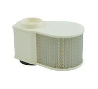 MIW FILTERS MIW Y4243 Air filter