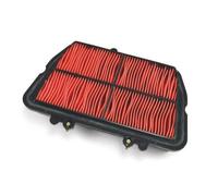 Air Filter Miw Triumph 800TIGER/XC/XR : T23101 Triumph 800 Ti