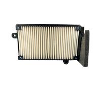 Miw Sym 500 Maxym Tl E4/e5 Air Filter