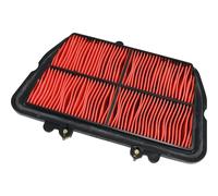 Air Filter Miw Triumph 800TIGER/XC/XR : T23101 Triumph 800 Ti