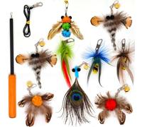 miwoowim Interactive Cat Toys - 10 PCS Cat Retractable Wand Toy and Feather Toys Refills, Enrichment Toys for Indoor Cats,Kitty Toys on a Stick,Kitten Toy Small Feather Insects